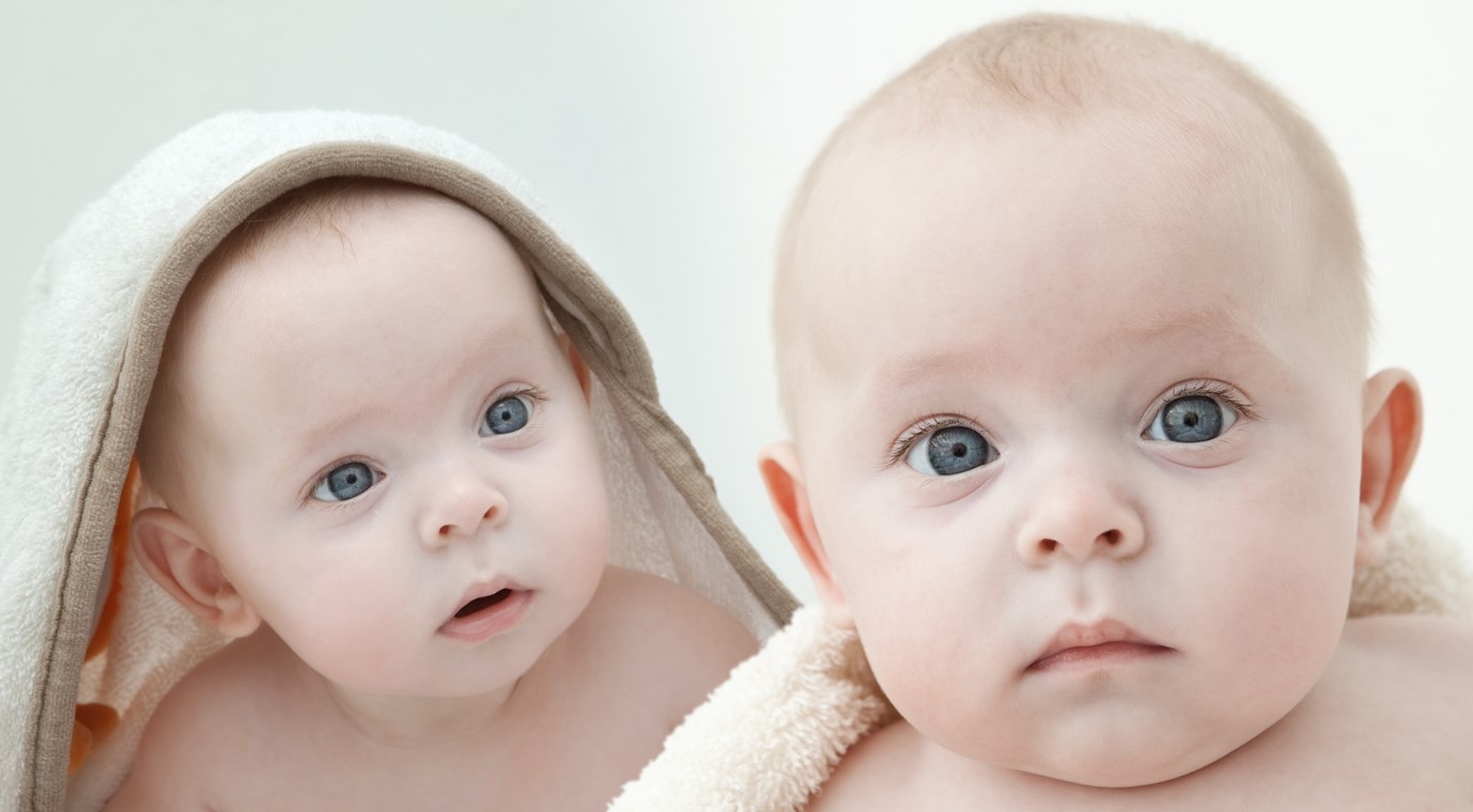 The Peri/Post-natal Epigenetic Twins Study